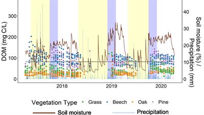 Drought Reduces Release of Plant Matter Into Dissolved Organic Matter Potentially Restraining Ecosystem Recovery